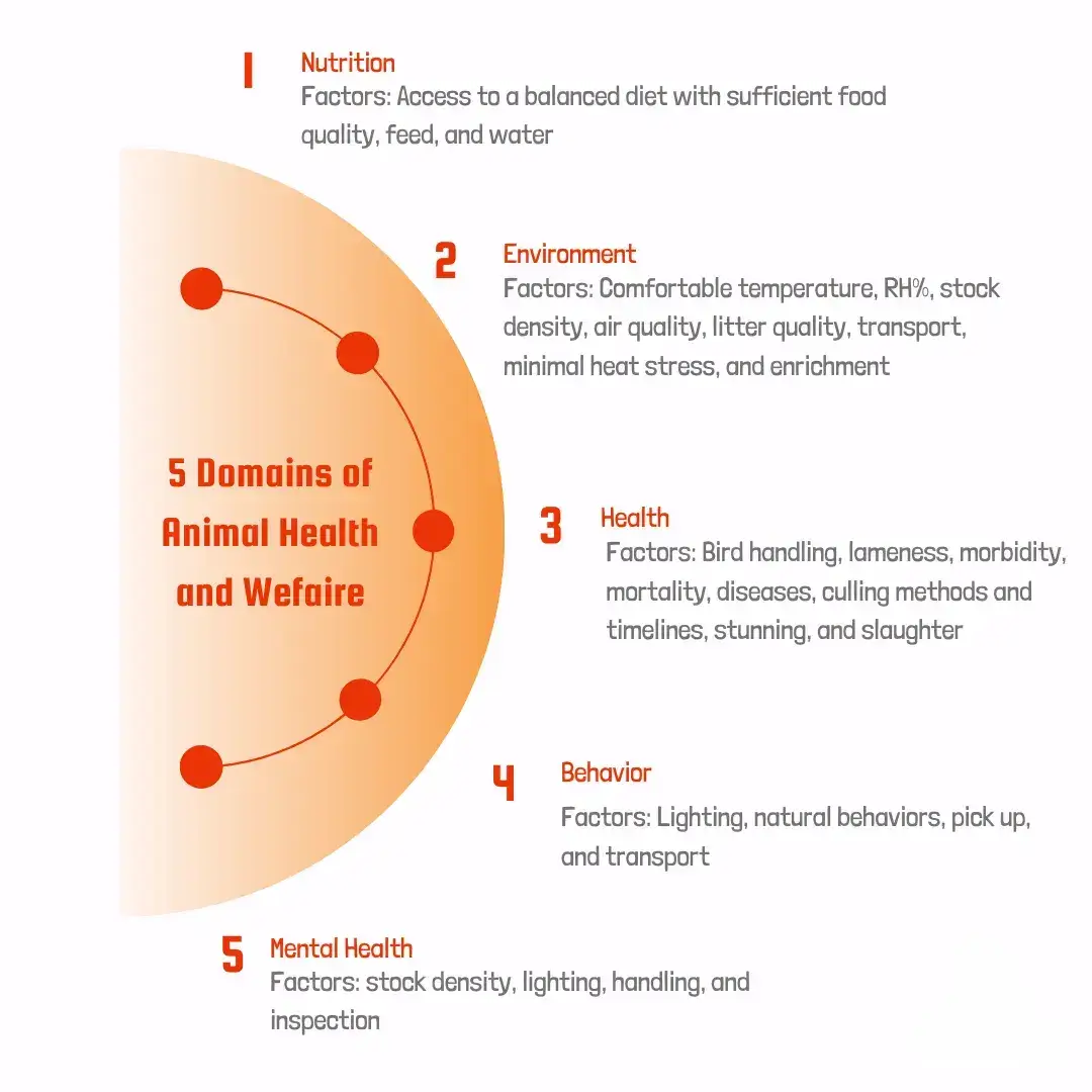 Five domains of animal welfare (nutrition, environment, health, behavior, and mental health)
 and their contributing factors.