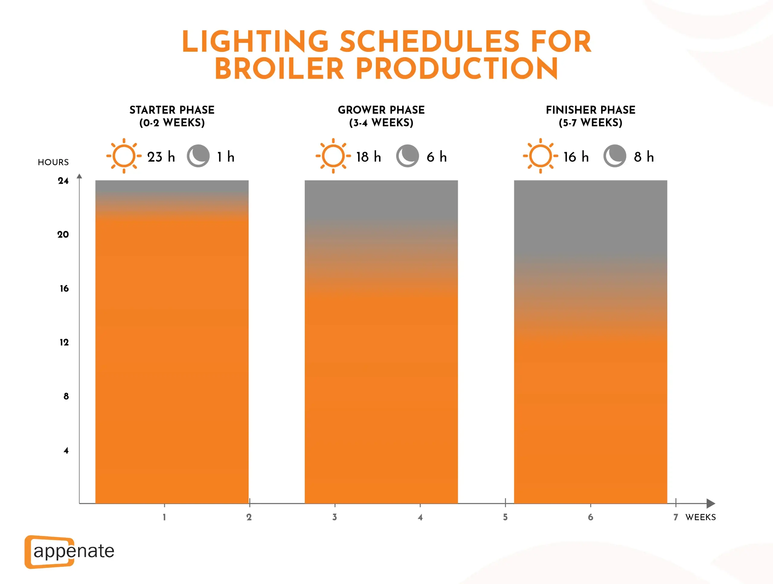 A graph showing the recommended lighting schedules for different phases of broiler production.