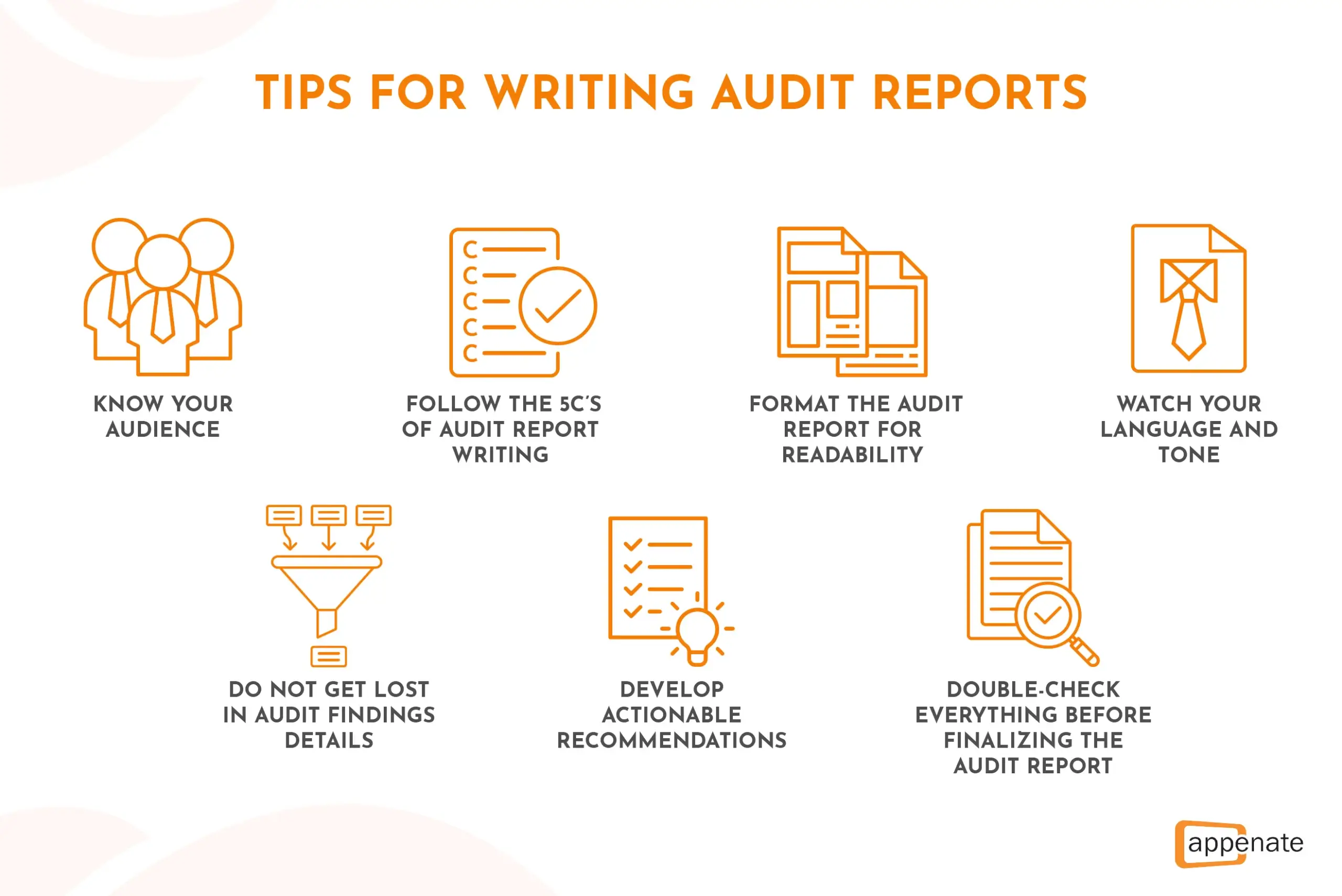 A poster showing tips and best practices for writing audit reports.