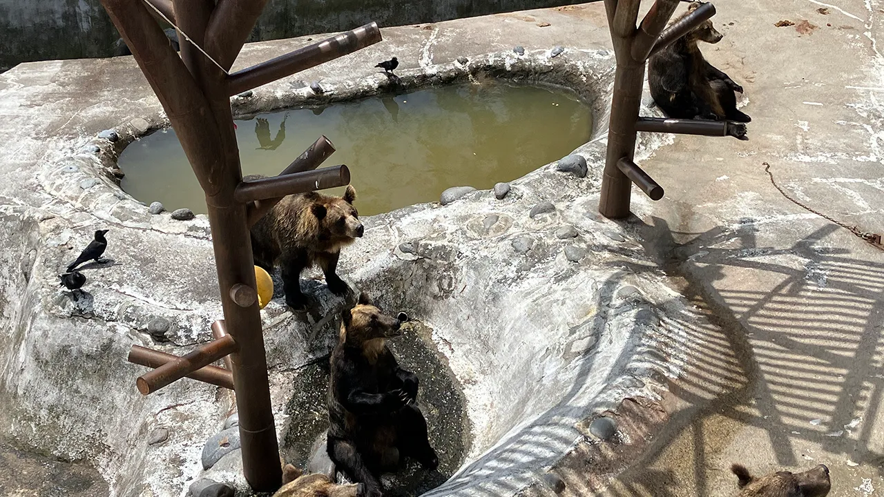クラブオフ