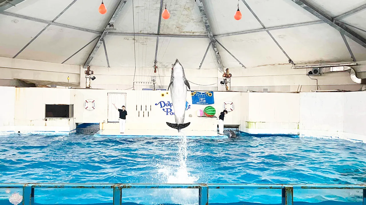 クラブオフ
