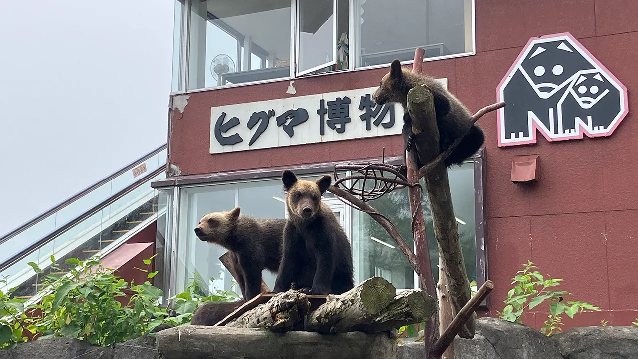 クラブオフ