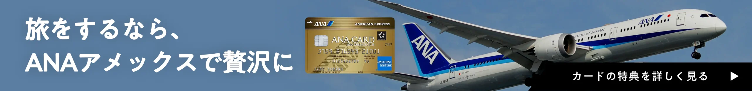 旅をするなら、 ANAアメックスで贅沢に［カードの特典を詳しく見る］