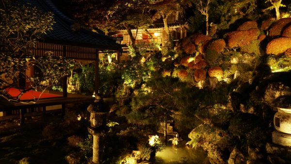 京都府民割引対象 柳谷観音 楊谷寺 ライトアップ 浄土の光 拝観 シャトル便 Mkトラベル