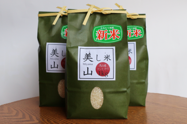 美山産コシヒカリ