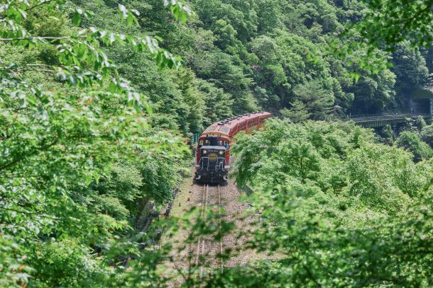 上から見た走行中のトロッコ列車