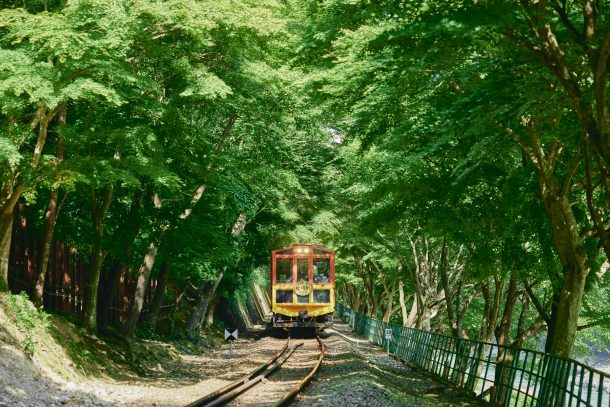 正面から見たトロッコ列車