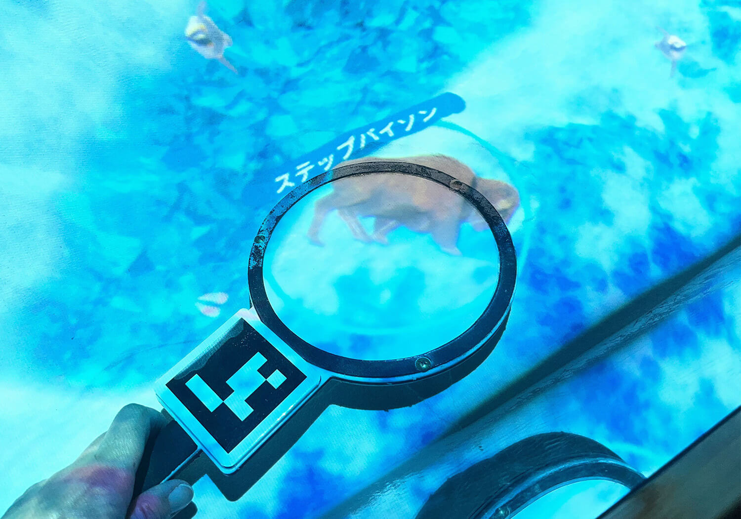 サンドパーティ_虫めがね