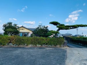 写真:坂東さんが売却したご実家は、戸建てよりも広い日本庭園がある。立派な松や石組みが配置され、手入れが行き届いている。