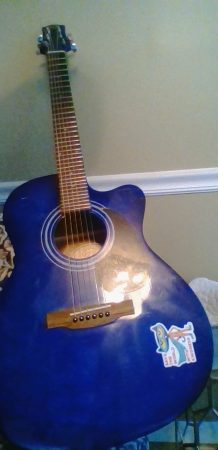 Phlub's<br>6-string Laurel Canyon<br>refretted by himself<br>&nbsp;