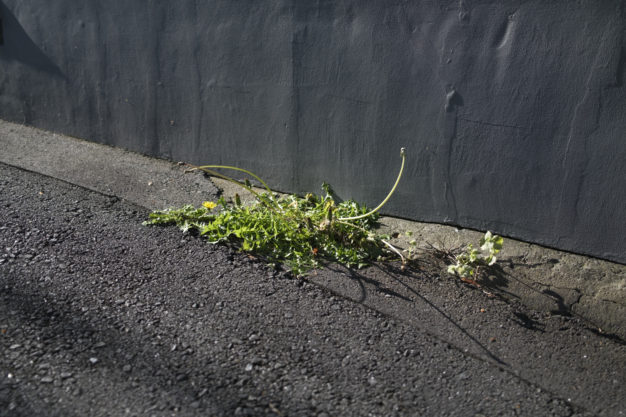 永田拓也 展示との対話「ささやかなものたち」｜Dialogue in see you gallery