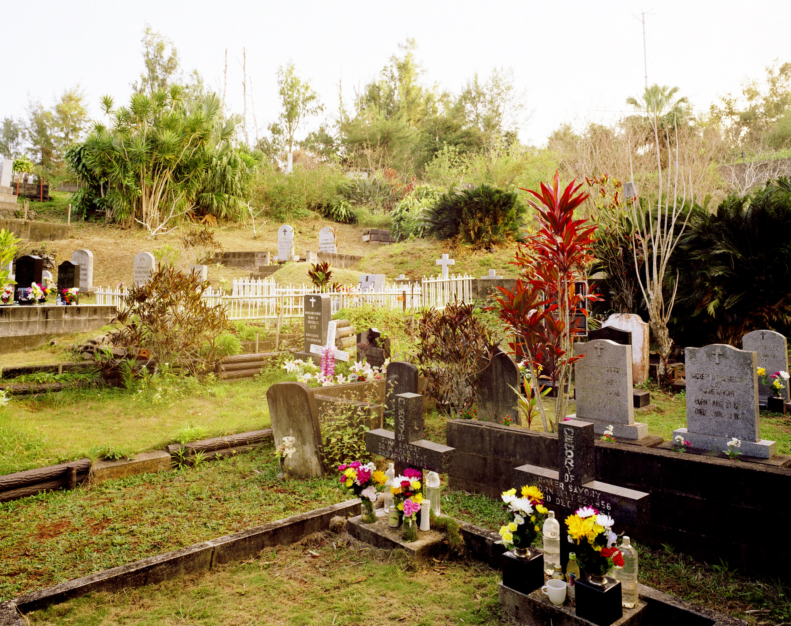 The Bonin Islanders