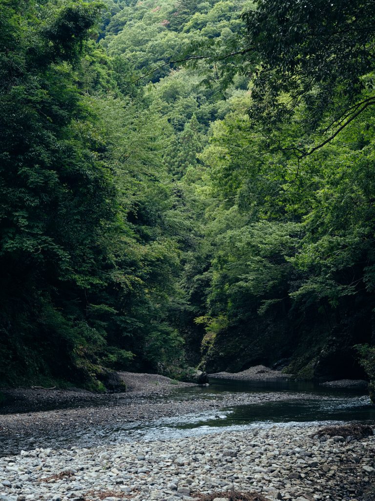 集中する環境
