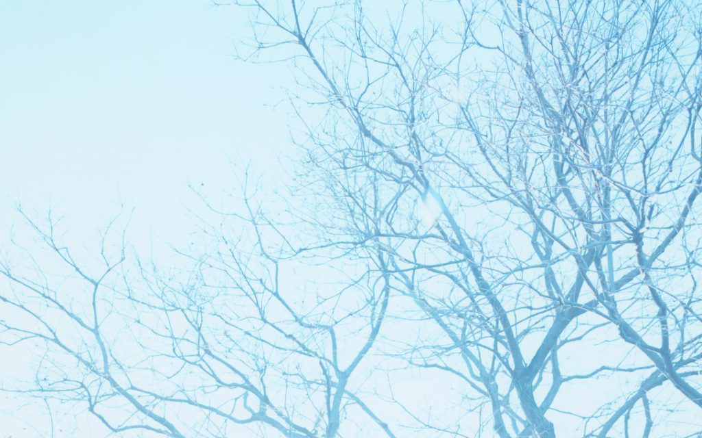 “Inconsequential Things” – Takuya Nagata