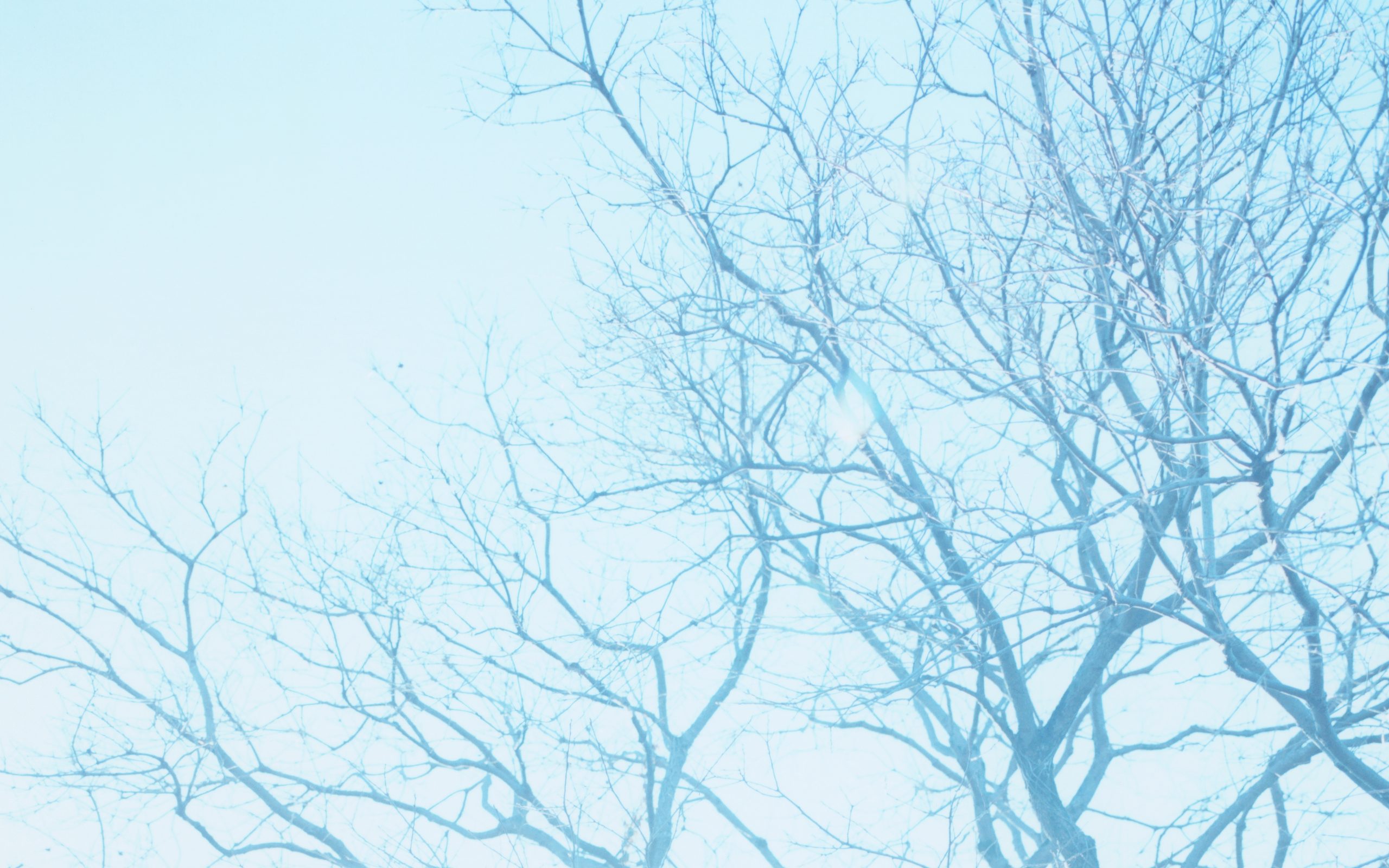 “Inconsequential Things” – Takuya Nagata