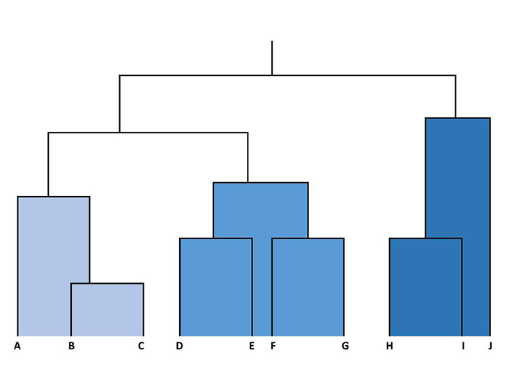 クラスター分析 クラスター分析