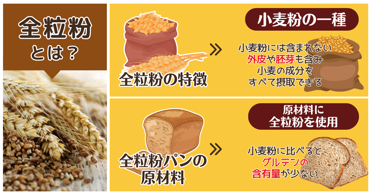 小麦粉のたんぱく質 筋肉 _ 小麦のたんぱく質 筋肉つかない – FGSDE