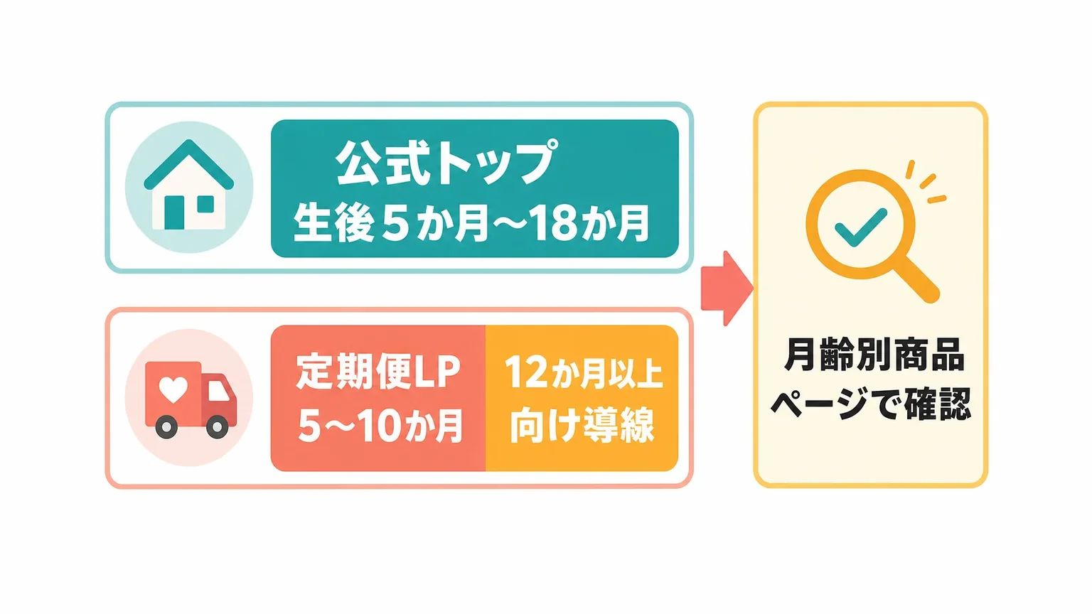 対象月齢と月齢別コースの見方